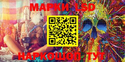Альфа ПВП Кандалакша
