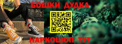 Альфа ПВП Кандалакша